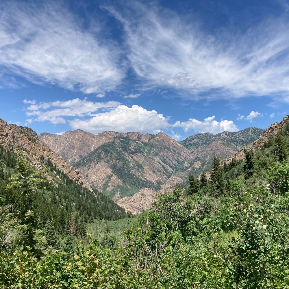 Meet your Posher, Sean